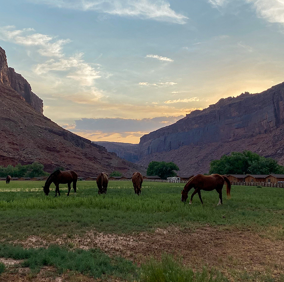 trust-administration-services-utah