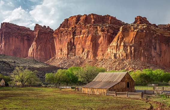 wills-and-trusts-services-background